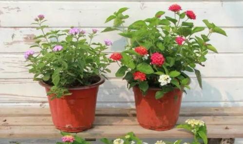 超体地图最新爆料视频,最新爆料视频深度解析  第2张